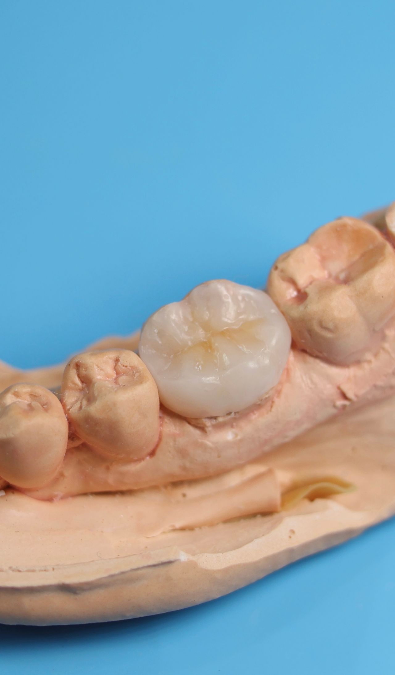 Alicia Esperanza Barrera Vargas-2