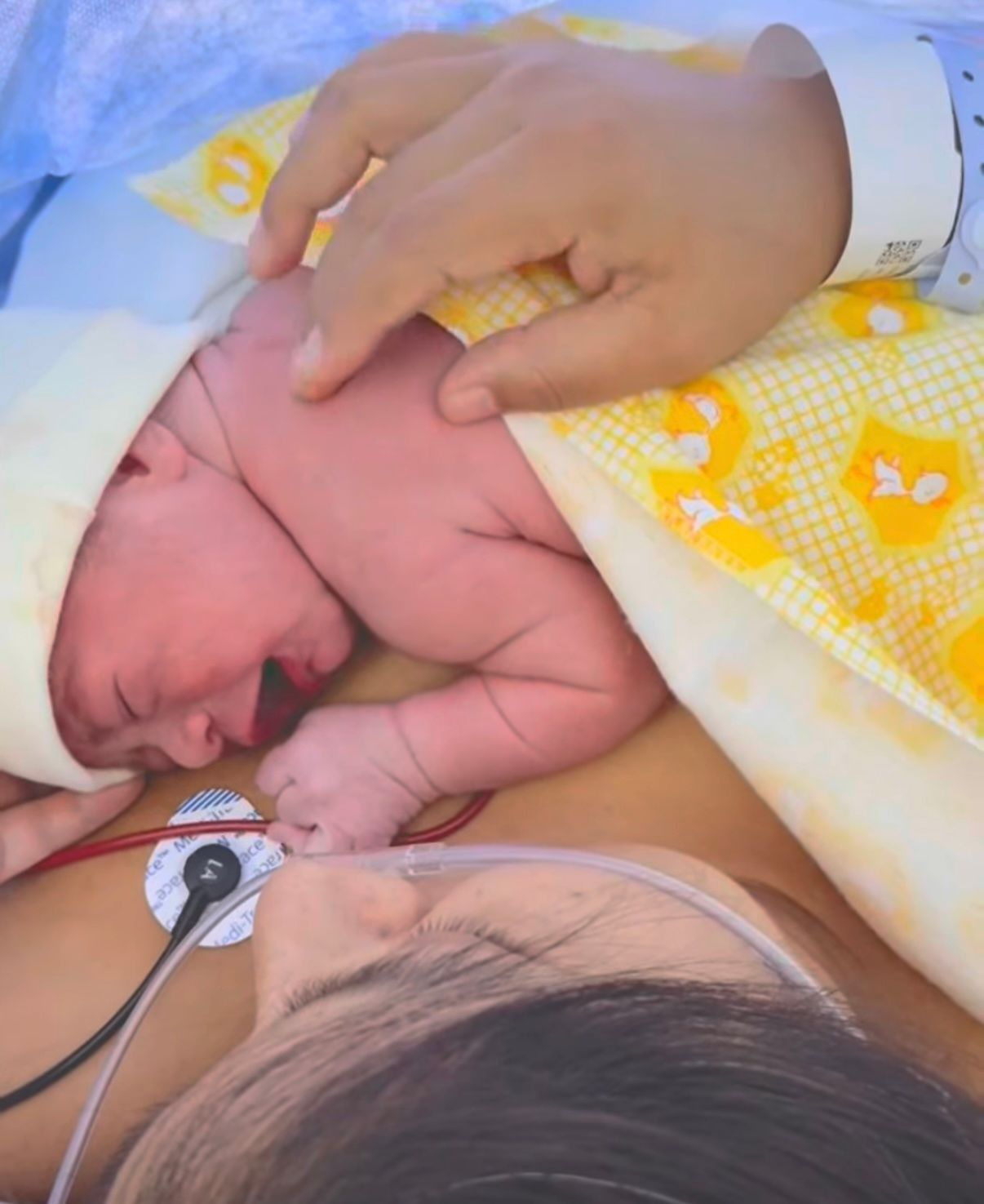 Ana Sofia Paredes Hernández-4