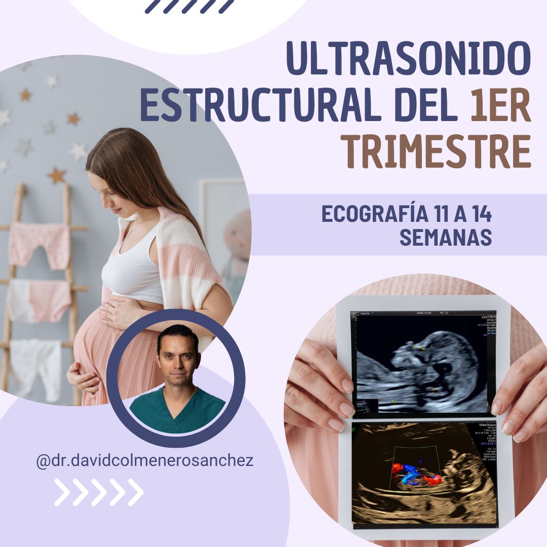 David Colmenero Sánchez-0