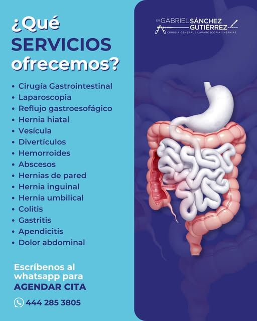 Gabriel Sánchez Gutiérrez-0