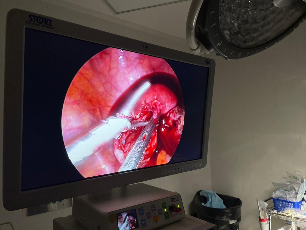 Lilia Jeannette Guerrero Gómez-1