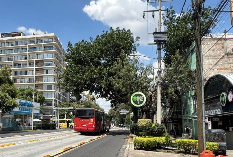 Marian Escribano Ponce-1