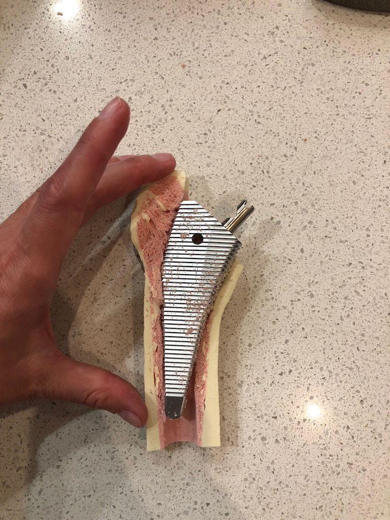 Gisela Cleto Zepeda-80