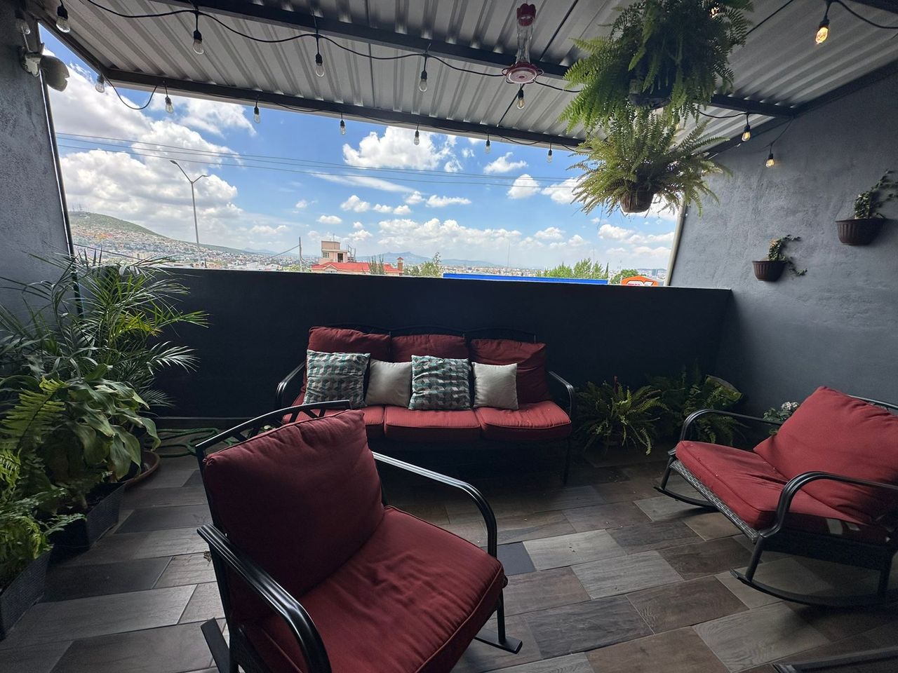 Fernando Pelaez Castañeda-12