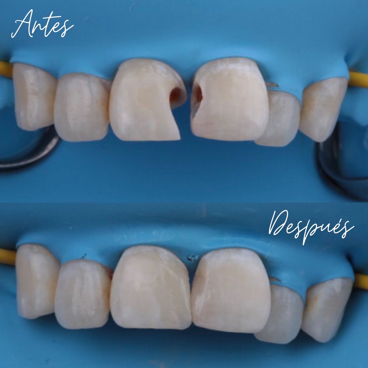 Daniel De Jesus Ramirez Vazquez-7