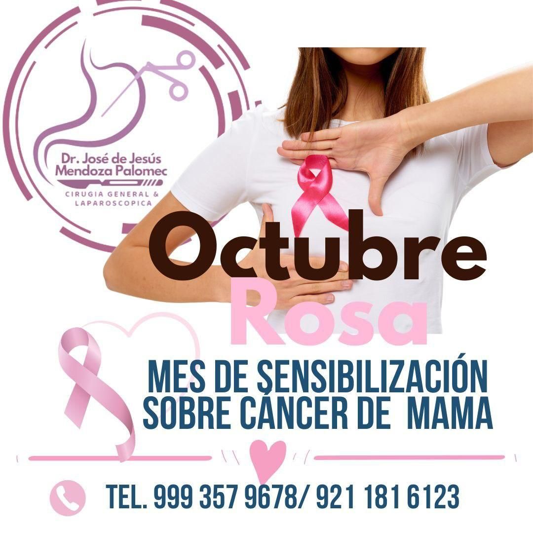 José De Jesus Mendoza Palomec-16