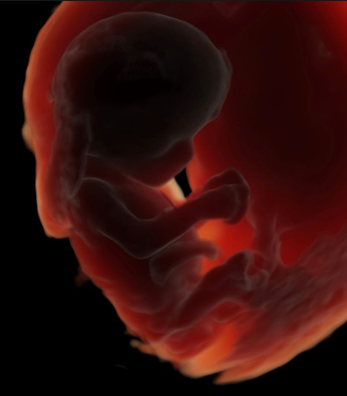 Sarai Esquivel Reyes-2