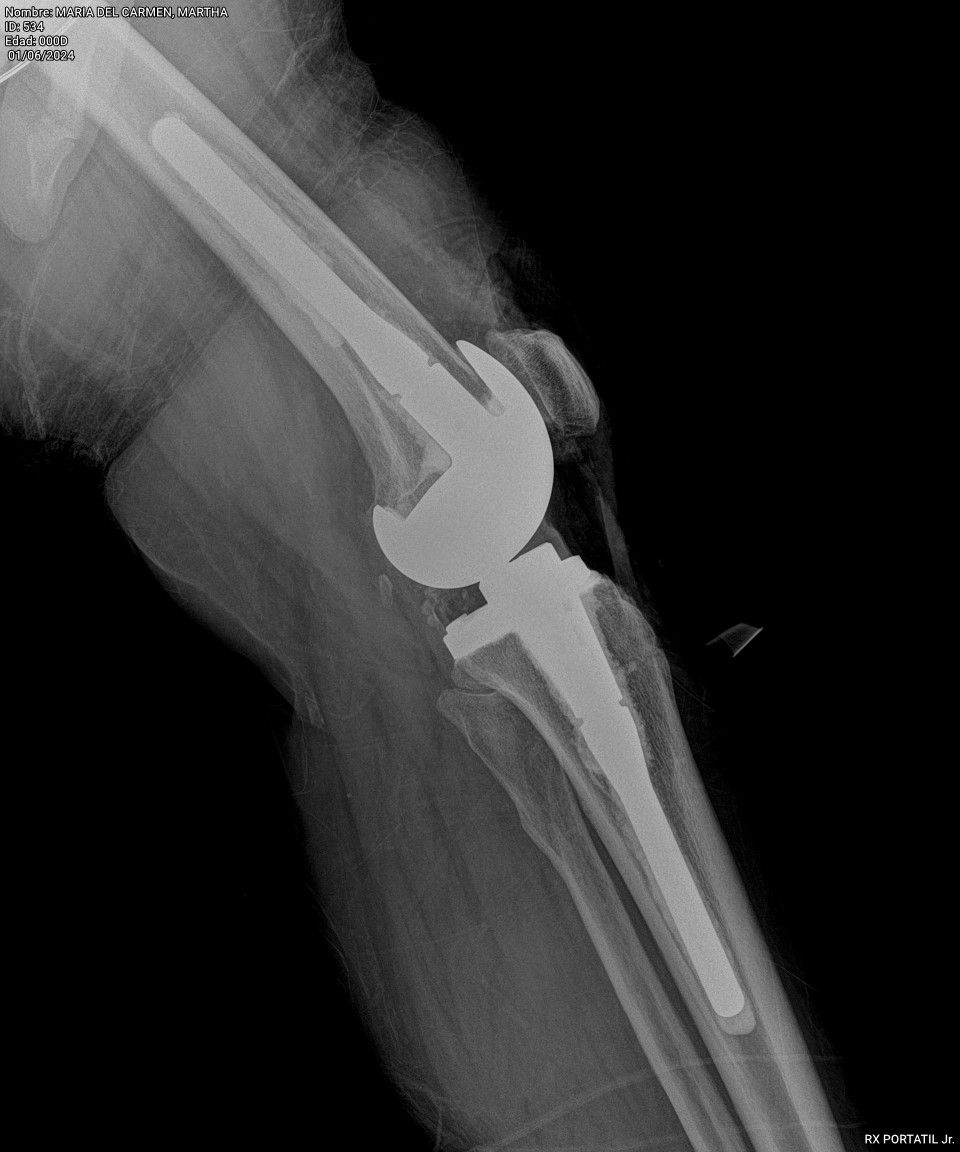 J. Miguel Zamarripa Jáuregui-20