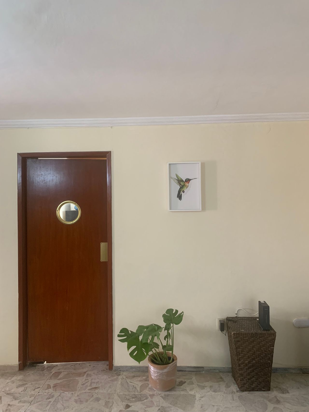 Omar De Jesus Torres Nuño-6