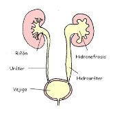 Teresa Eugenia González Fuentes-0
