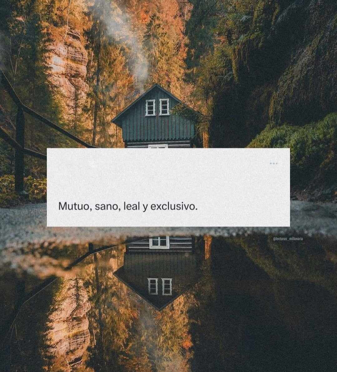 Mariela Suárez Sánchez-7