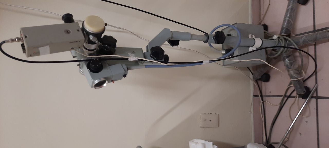 E. Carmina Rodriguez Contreras-2