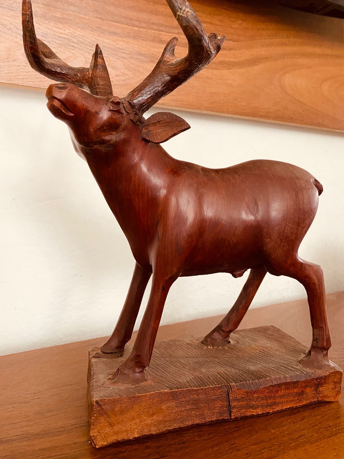 Alejandra Gómez Martínez-6