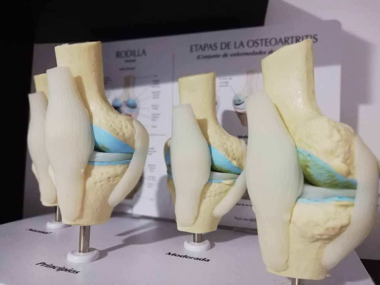 Saúl J. Ramírez Martínez-9