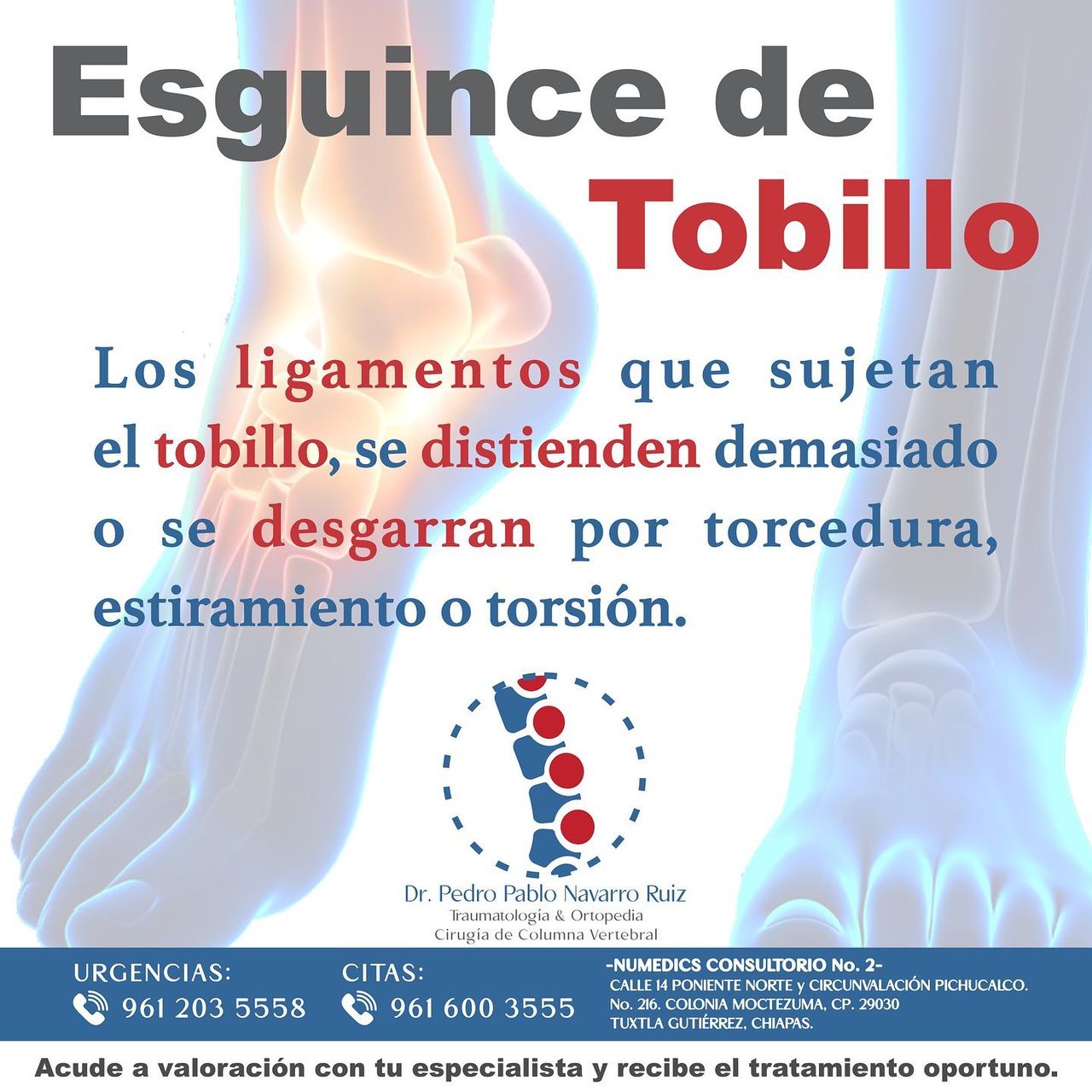 Pedro Pablo Navarro Ruiz-13