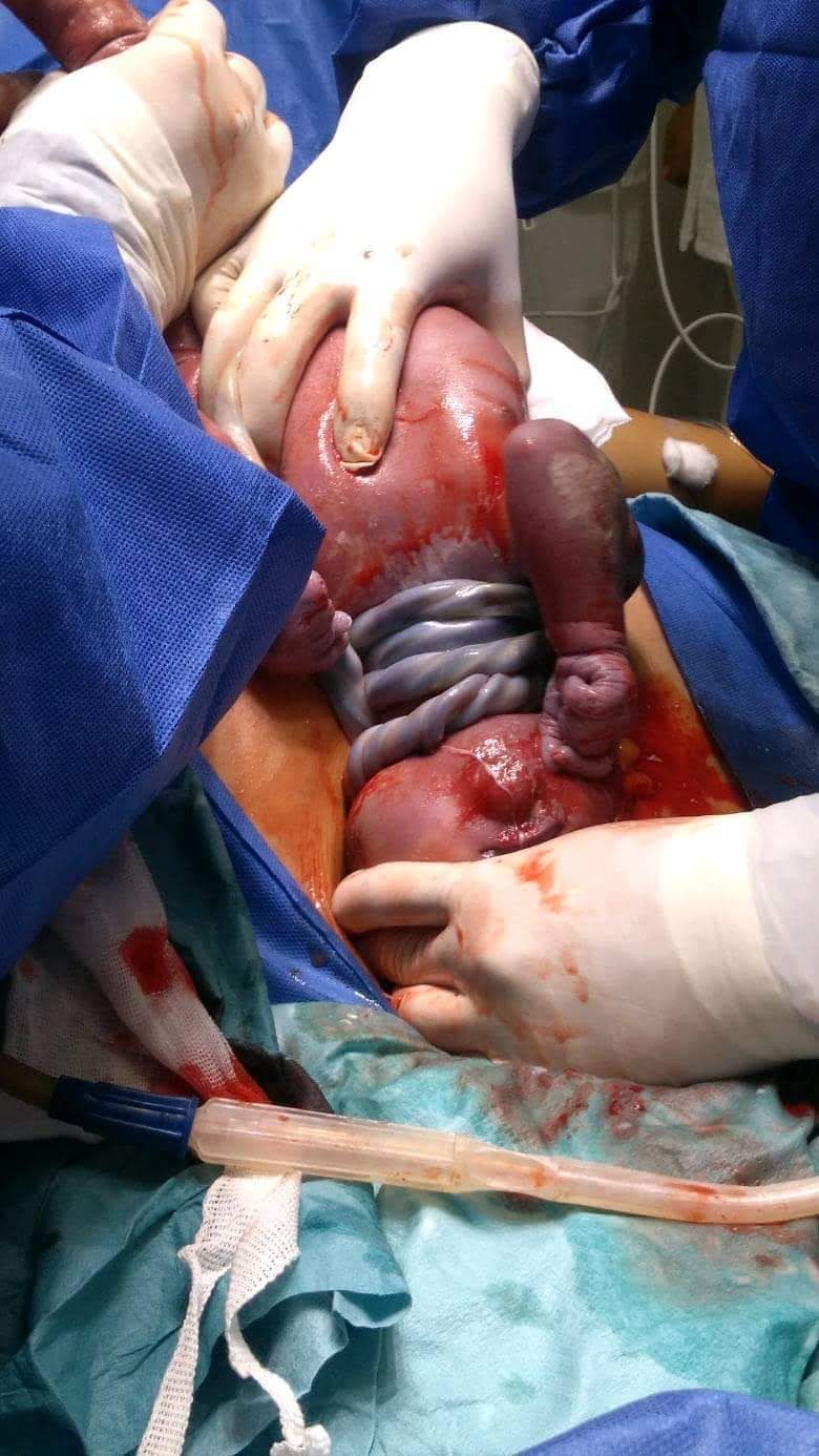 Marisol I. Alvarez Carrasco-6