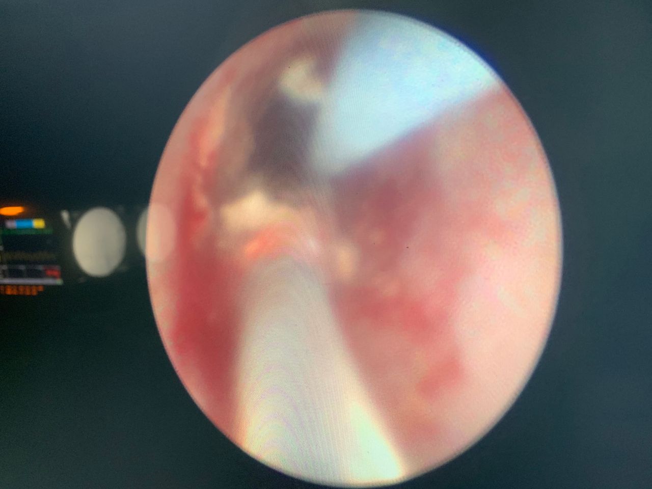 Enrique Hans Mues Guizar-12