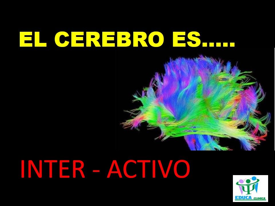 Maria De Lourdes Vital Martin-23