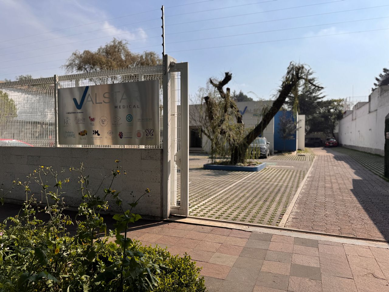 Nadia Elizabeth Correa De Jesus-3