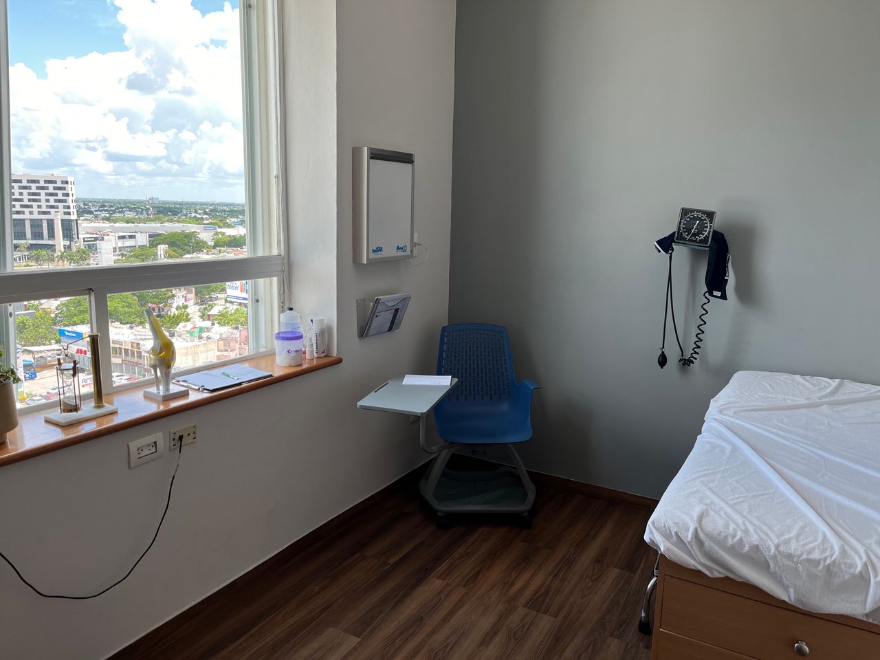 Fabiola Oropeza Bonfanti-0