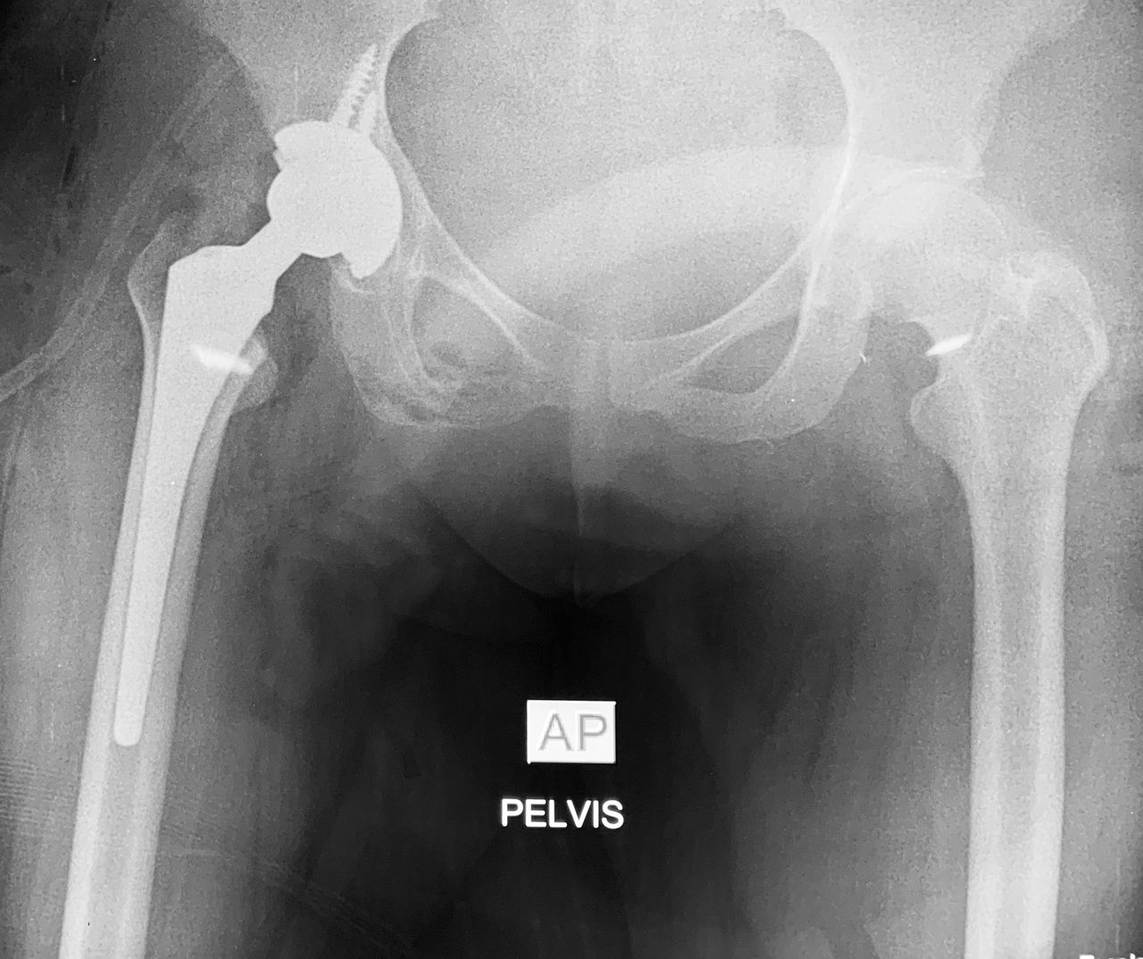 Guillermo Fernández De Lara Guevara-6