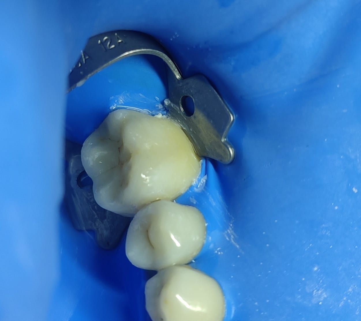 Jonathan Manuel Morán Castell-36