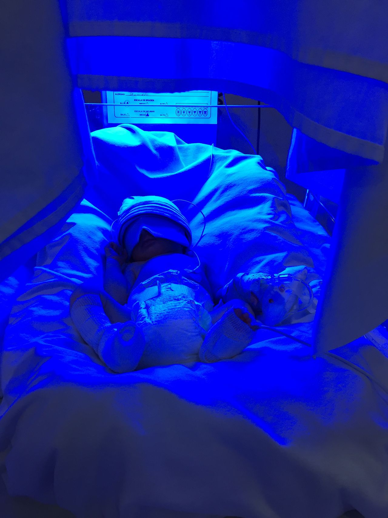 Ana Lorena Lozano López-16