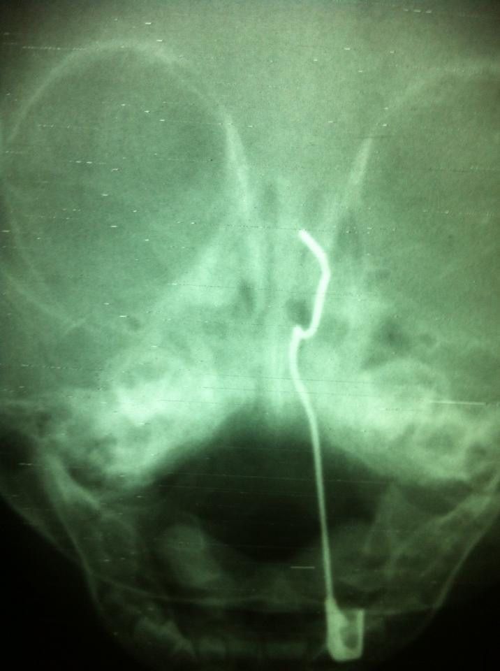 Gloria Elena Muela Gabaldón-0