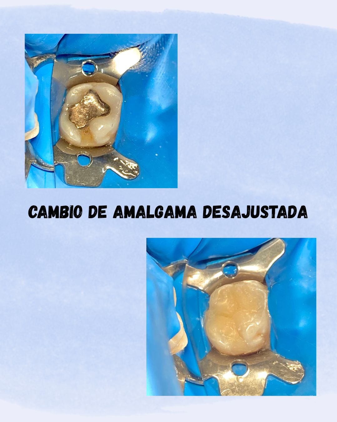 Joel Eduardo Lopez Molina-2