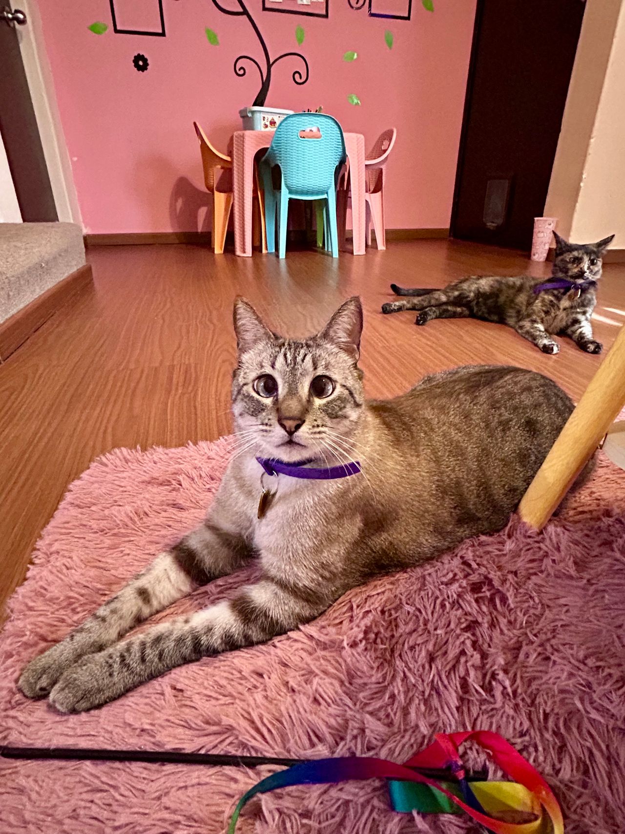 Jhoana Mendoza Larios-23