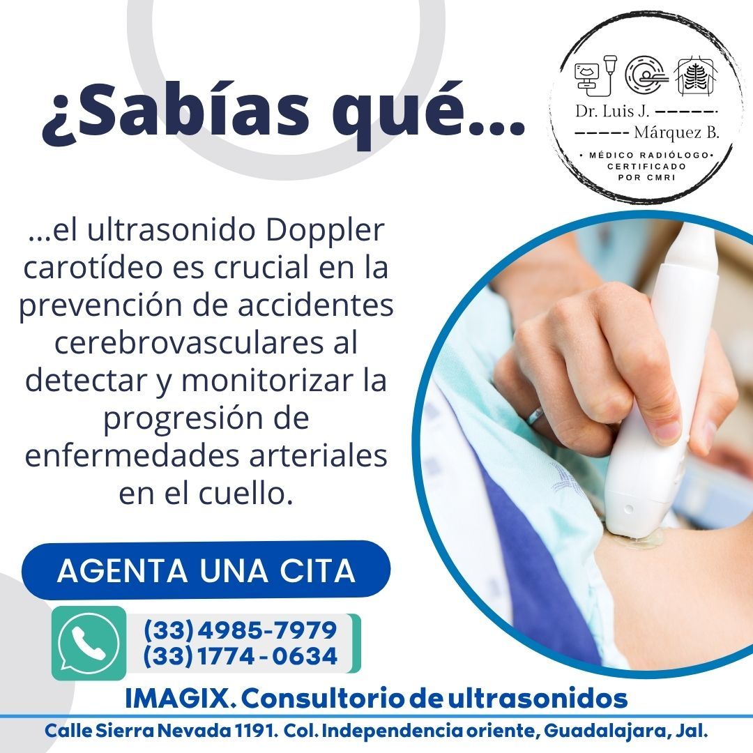 Luis Jesús Márquez Bejarano-15