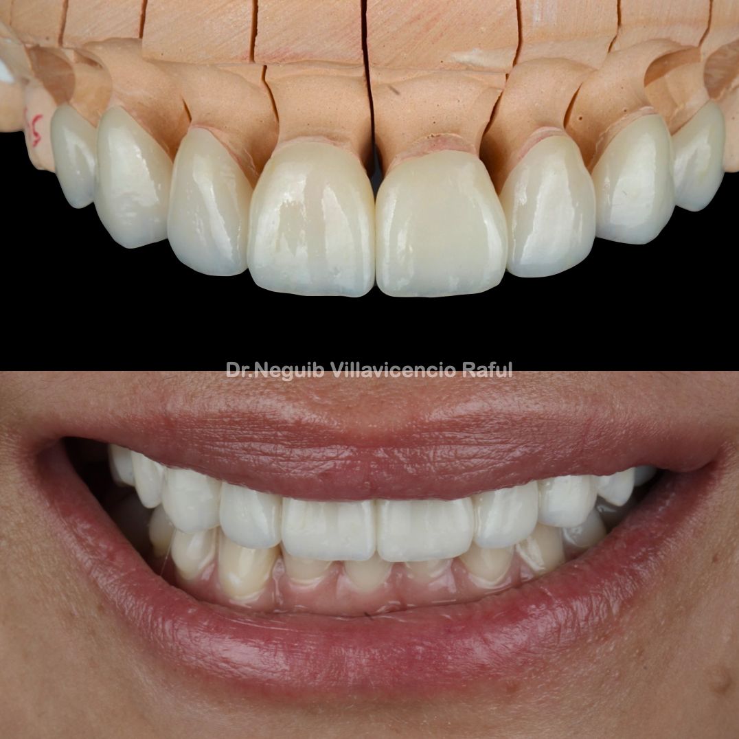 Neguib Villavicencio Raful-11