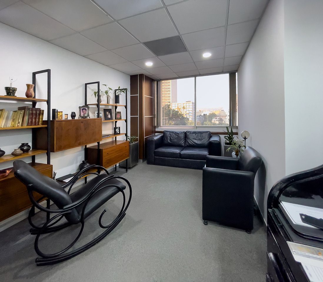 Ricardo Alfonso Alcocer Lujambio-4