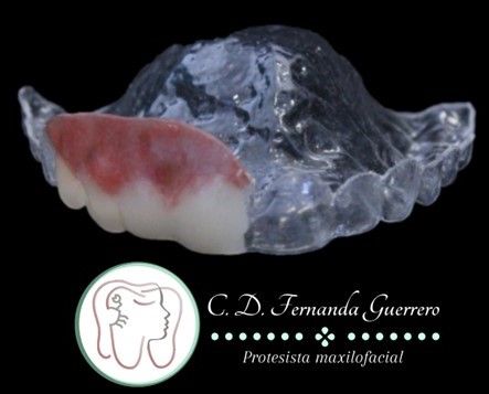 Fernanda Guerrero-3