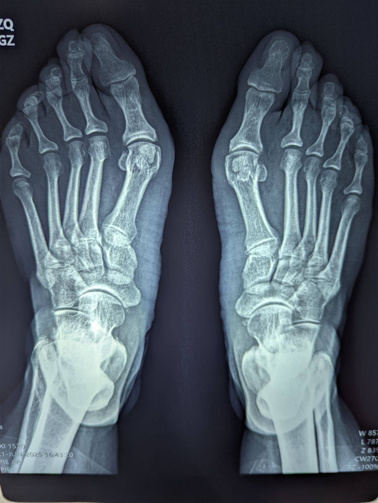 Mariana Mojica Díaz-7