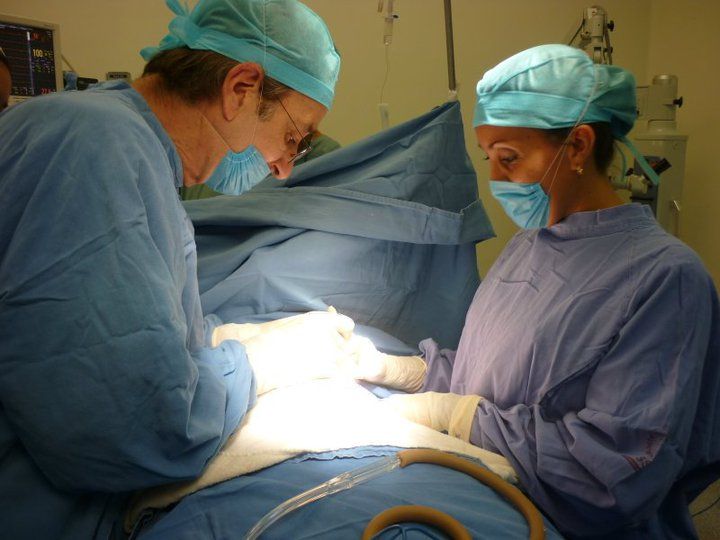 Claudia Cuevas Salinas-5