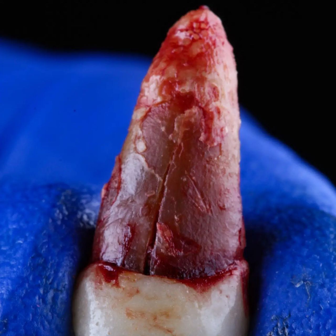 Hugo Enrique Aguilar Lamas-137