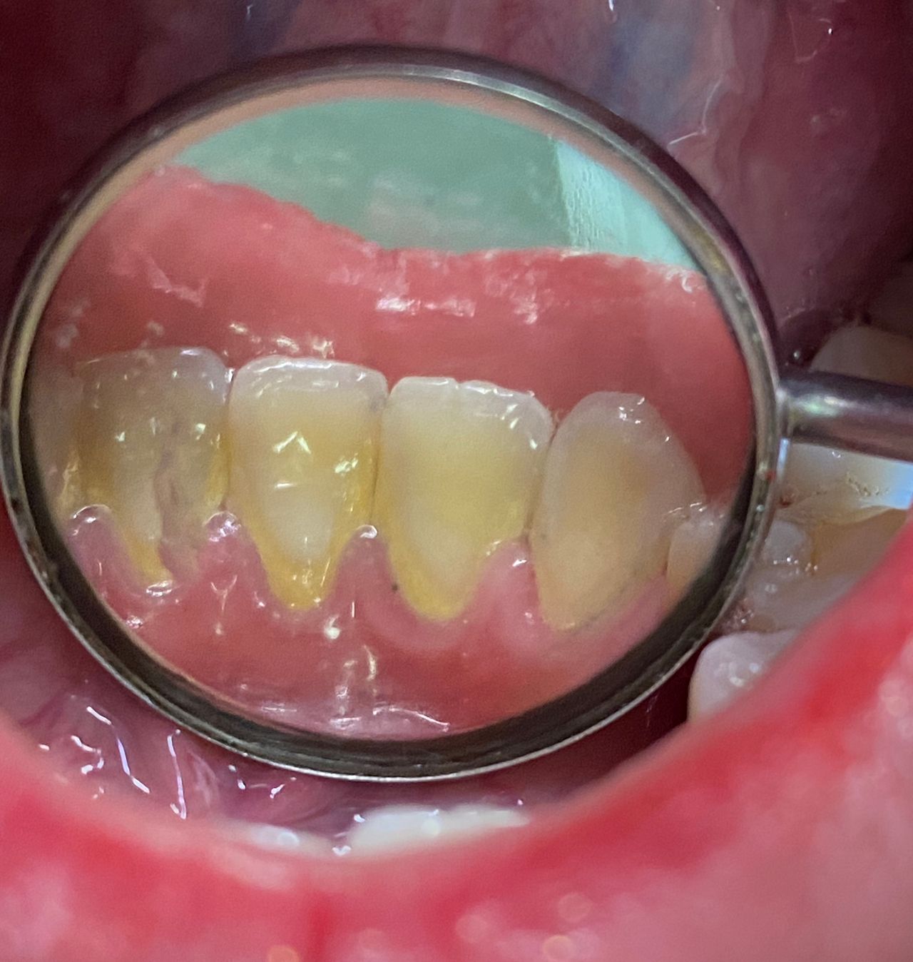 Andrea Montserrat Castellanos Ramírez-5