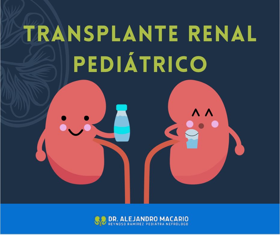 Alejandro Macario Reynoso Ramírez-13