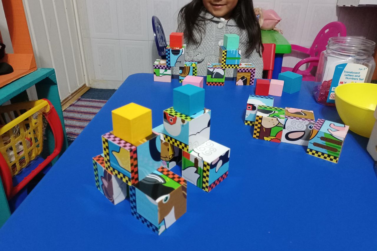 Brenda Rocío Lopez Sendejas-5