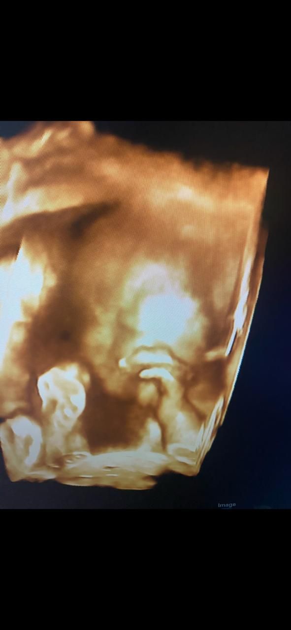 Graciela Elizabeth De La Torre Alvarez-8