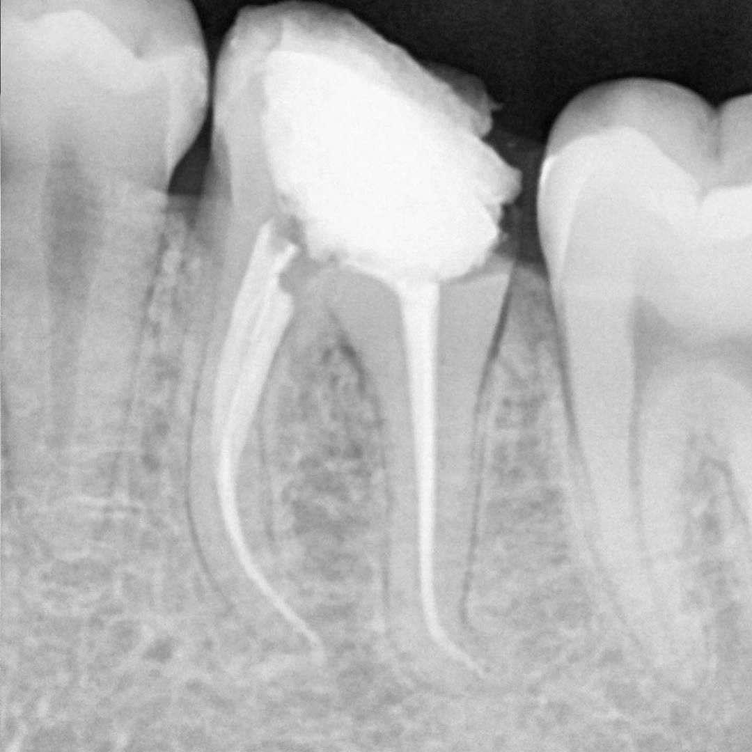 Esmeralda Candida Guerrero Pimentel-17