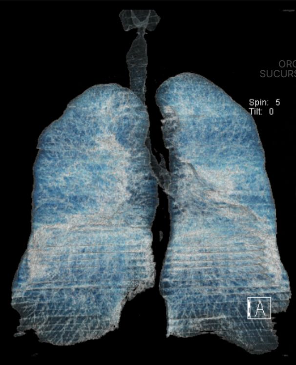 Adrian Estrada Campos-15