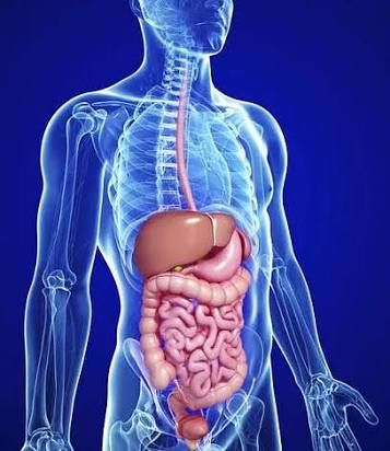 Fernando Martínez Linares-5