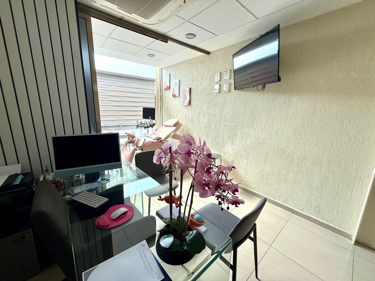 María José Ayala Alcocer-1