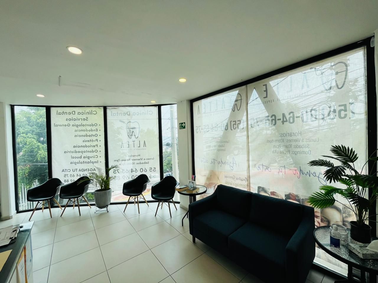 Paulina Hernández López-2