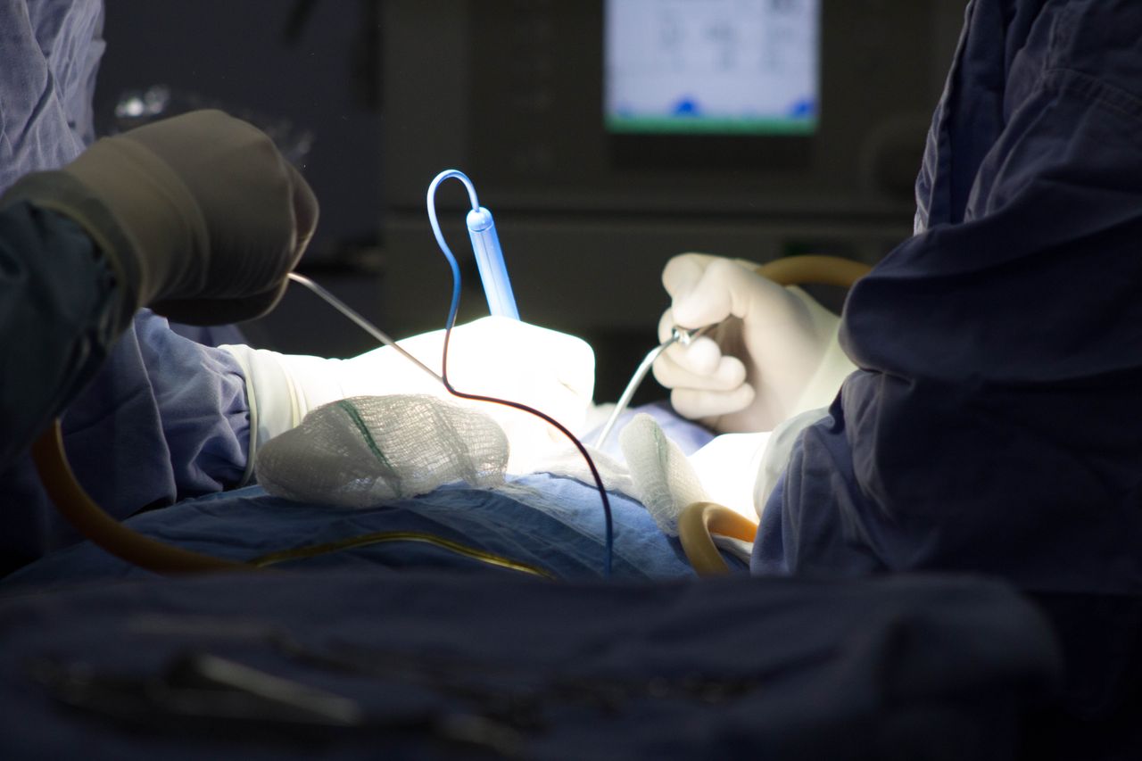 Jorge Miguel Flores Fuentes-5