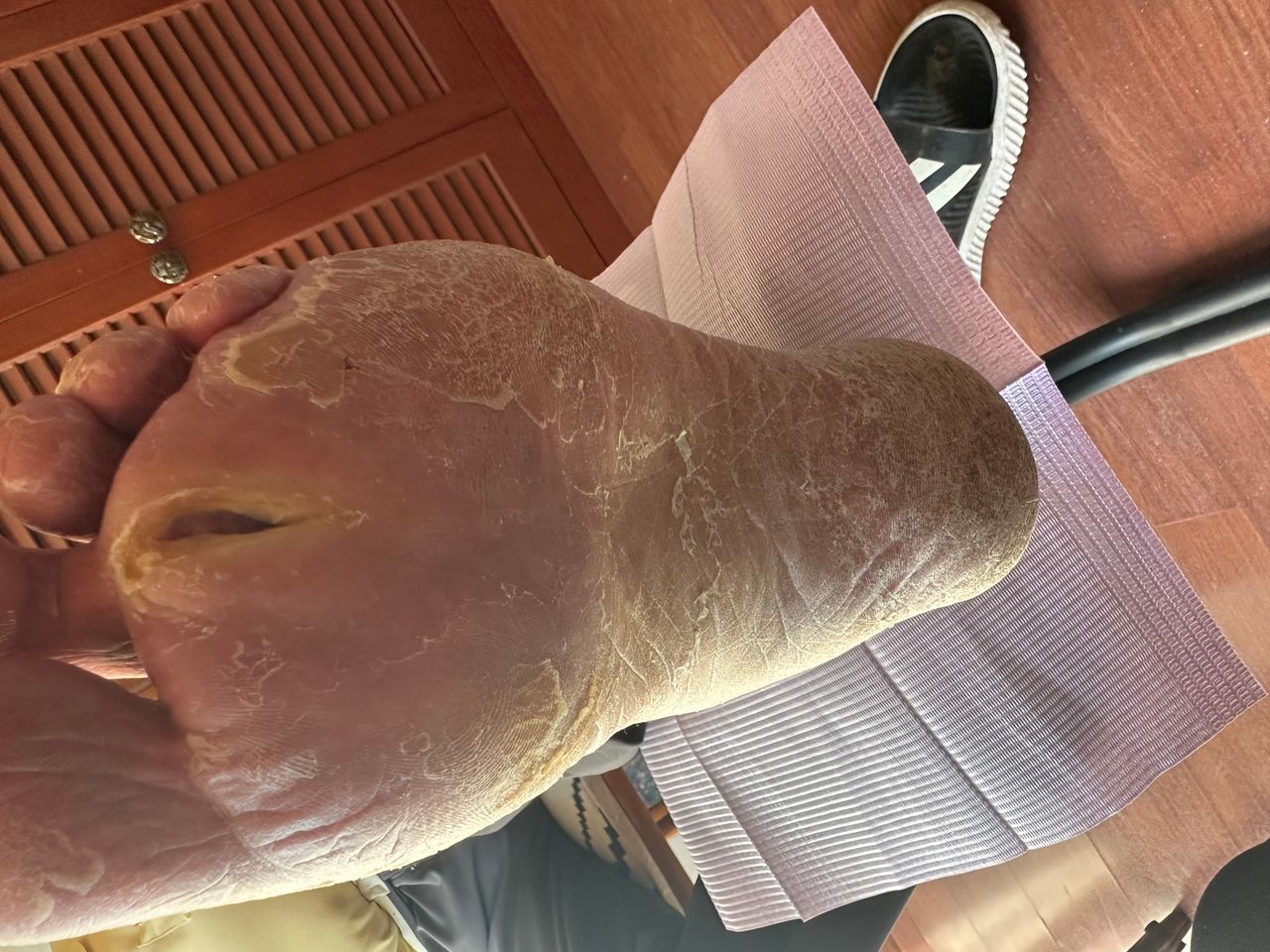 Lizette Rivera Peregrina-17