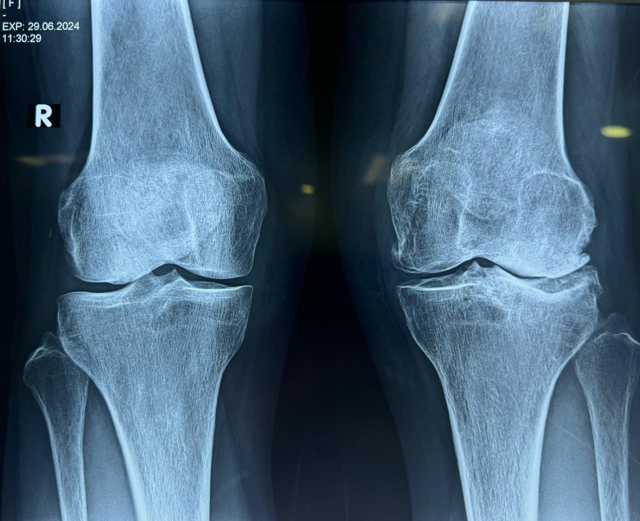 José Alberto Gallegos Cárdenas-0