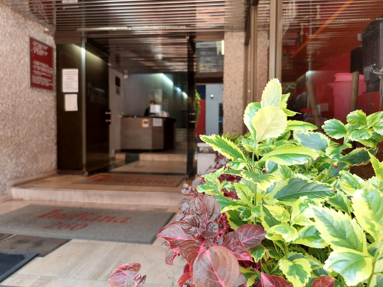 Analuz Narváez Padilla-13